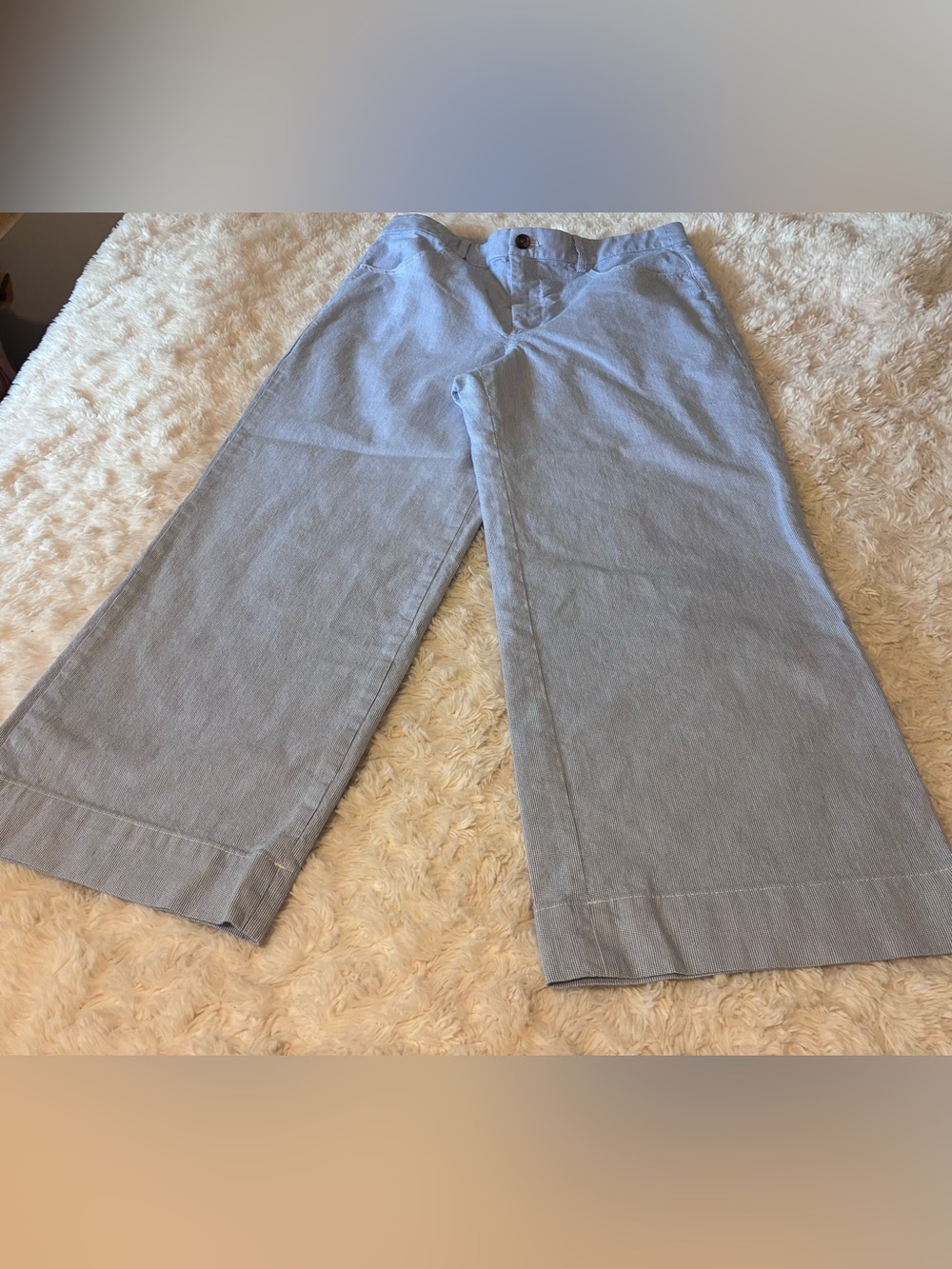 J-CREW Wide Leg Pants in Light Blue size 28